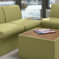 Braden Lounge and Reception Series