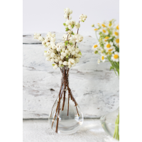 Lab Budvase