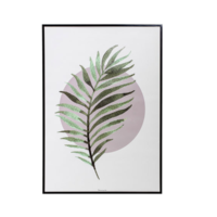 Fern Wall Print - 23" x 33"