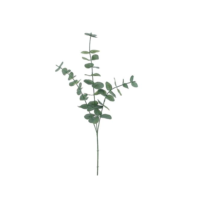 31" Eucalyptus Spray