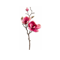 19” Magnolia Spray