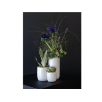 3 Way Connected Vase