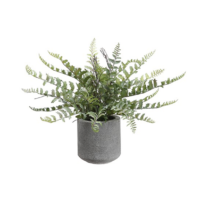 15" Fern in Cement Pot
