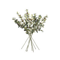 32.5" Olive Branch Stems