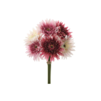 pink gerbera daisy bundle, home decor and home store barbados