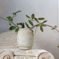 rustic vase, home store