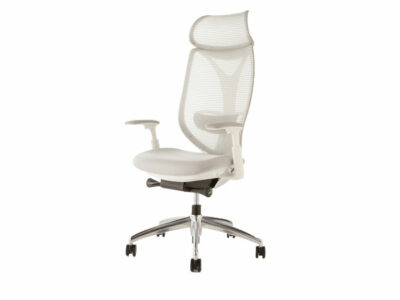 Sabrina Synchro-Tilt Task Chair, arm chairs, furniture store