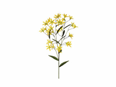 yellow tweedia spray, artificial plants, home store barbados, decor