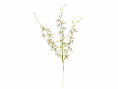dendrobium orchid spray, artificial plants, home store barbados, decor