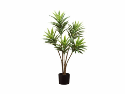 Dracaena Plant in Pot, artificial plants, home store barbados, decor