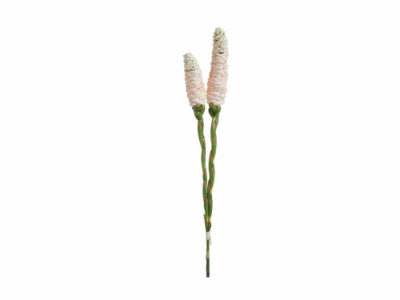 Pink Ginger Flower (Bundle of 2), artificial plants, home store barbados, decor