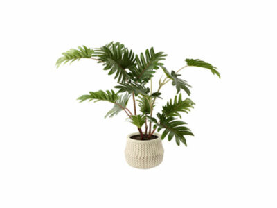Selloum Plant in Ceramic Pot, artificial plants, home store barbados, decor